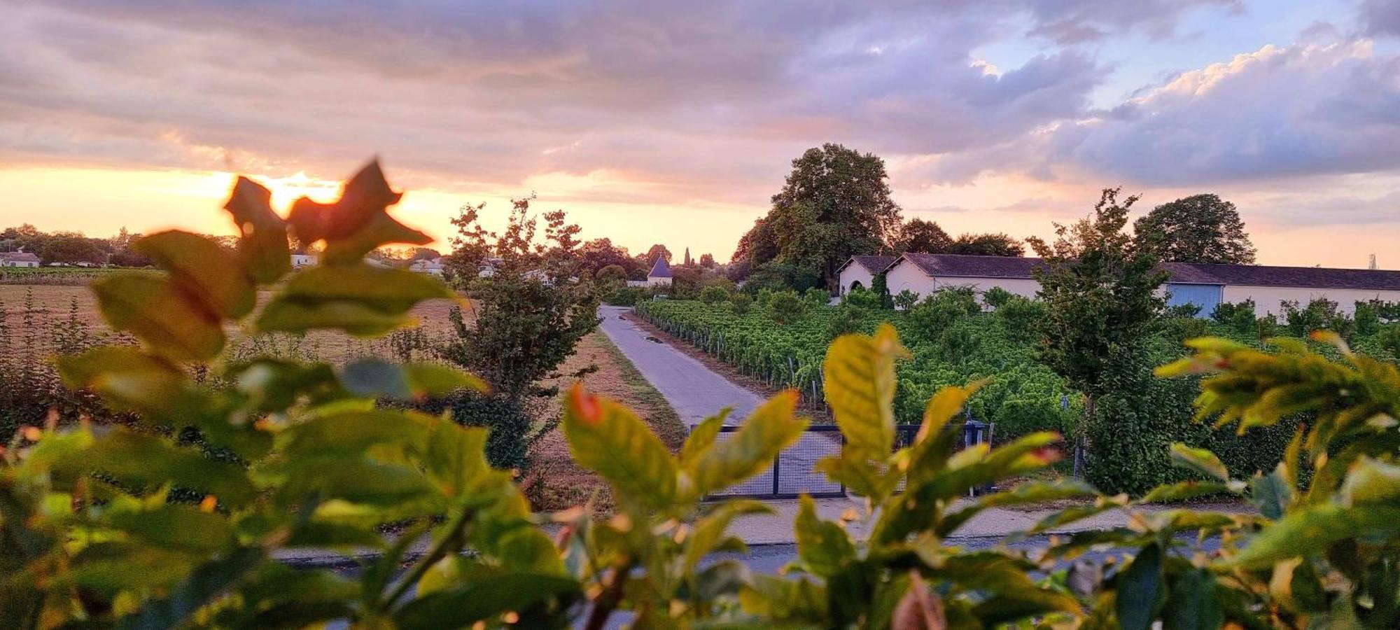 Appartement Quinault Libourne Buitenkant foto